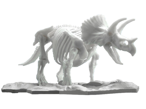 Limex Skeleton Triceratops