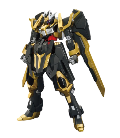 HGBF 055 Gundam Schwarzritter